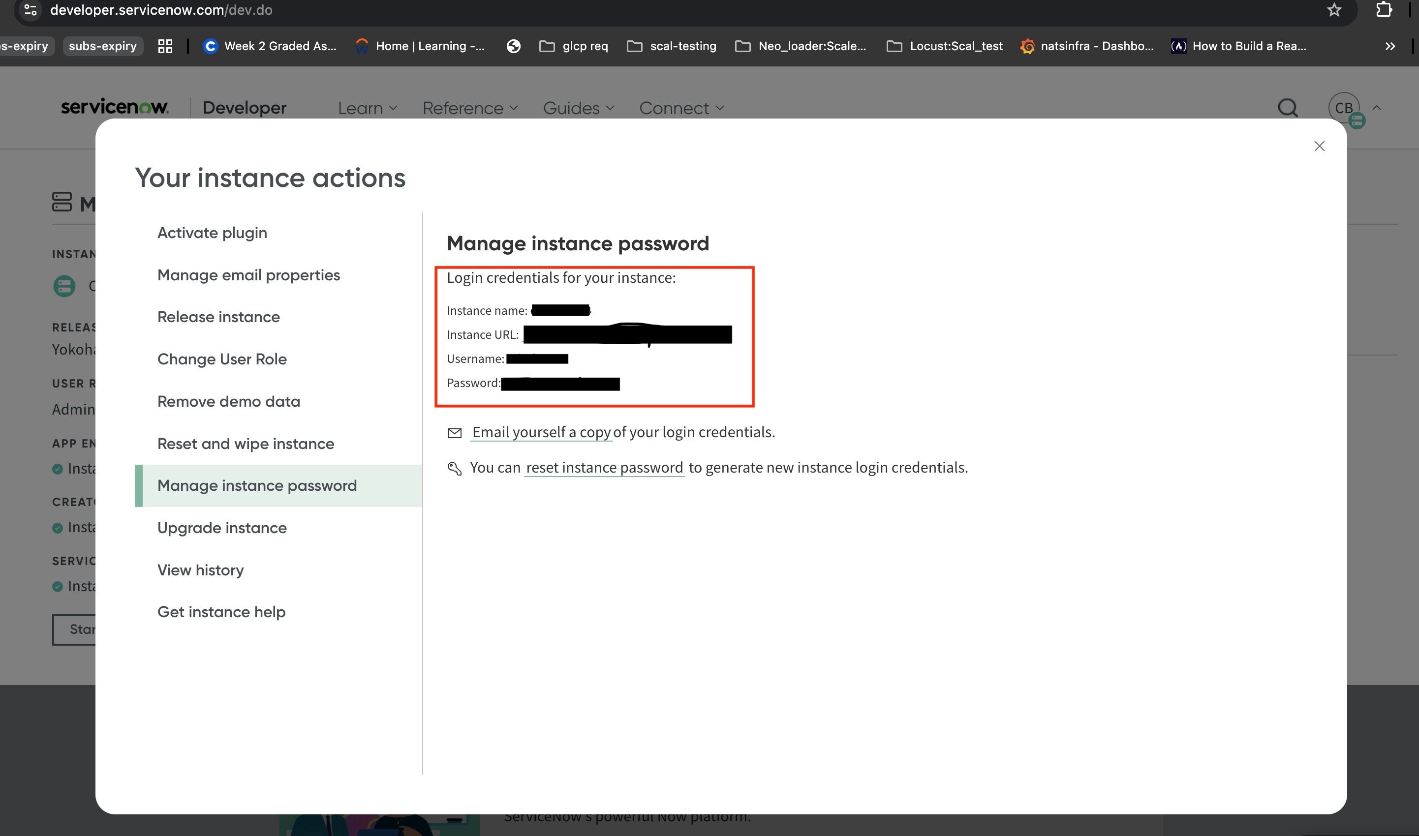 ServiceNow instance details